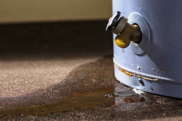 Best Water damage restoration process  in St George, MO