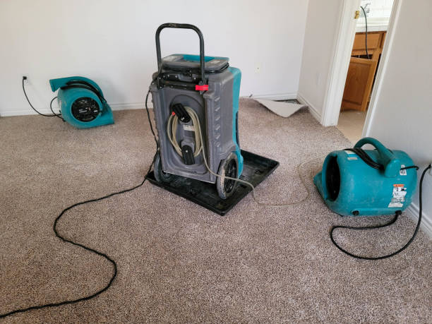 Water damage restoration experts in St George, MO