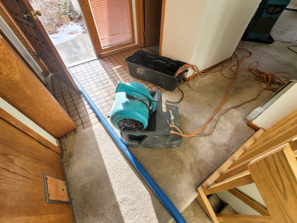 Professional Water damage restoration in St George, MO