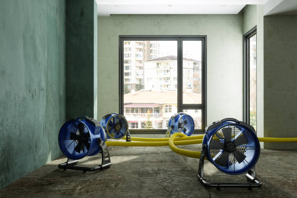 Trusted St George, MO Water damage restoration Experts