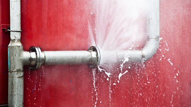 Best Sewage cleanup and water damage restoration  in St George, MO